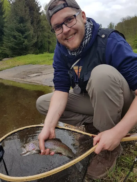 Regenbogenforelle