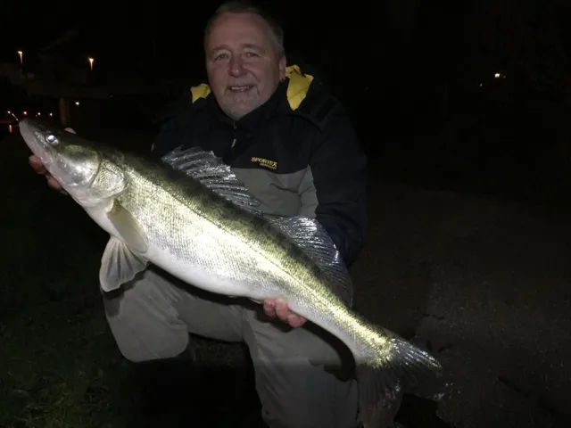 Zander