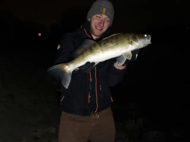 Zander