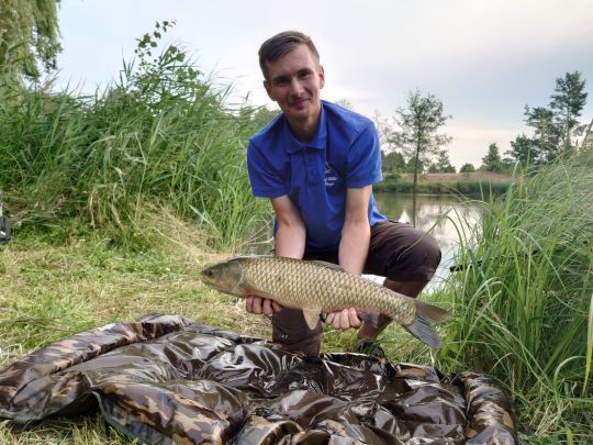 Graskarpfen