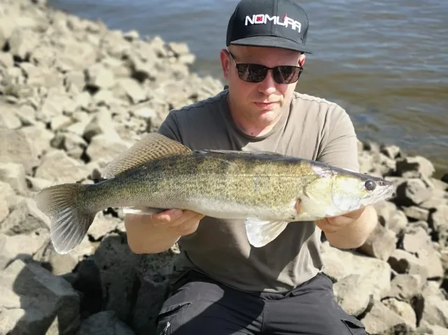 Zander