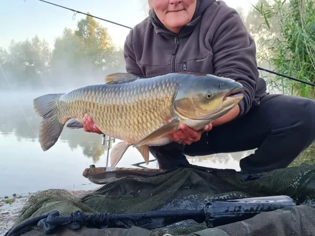 Graskarpfen