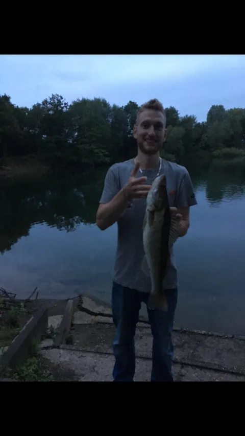 Zander