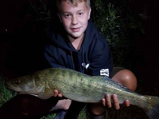 Zander