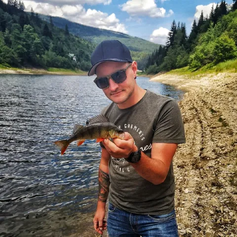Flussbarsch