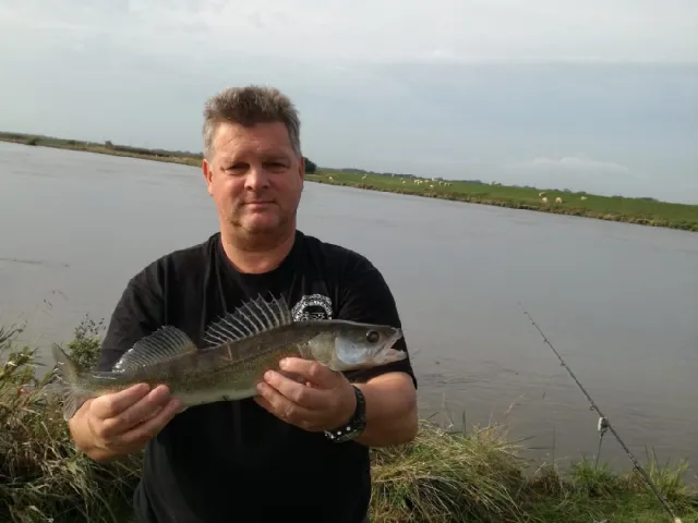Zander