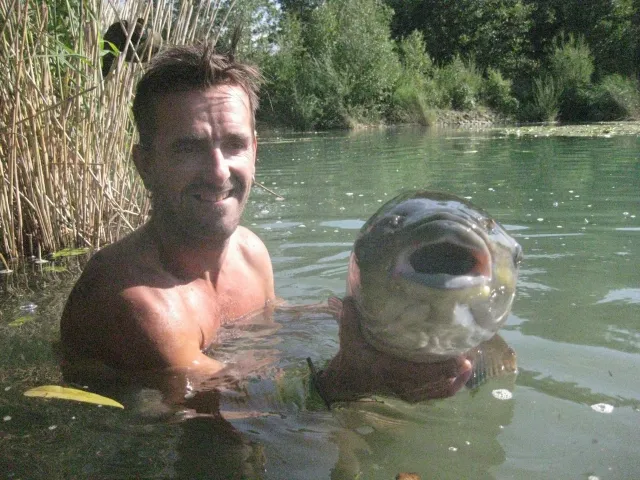 Graskarpfen