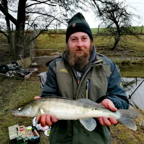 Zander