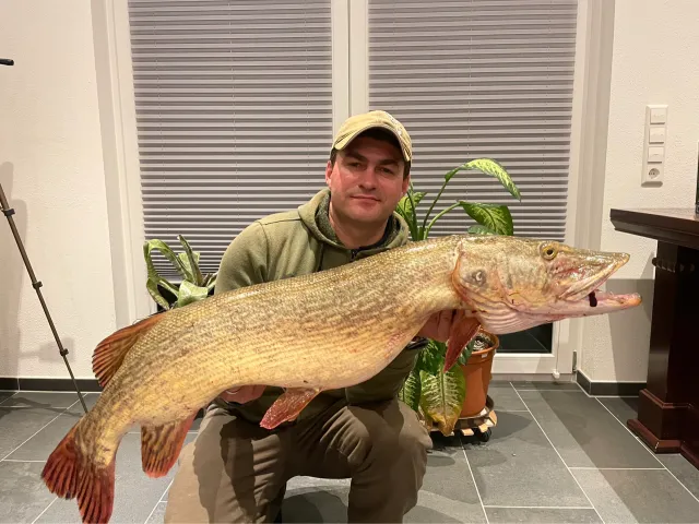 Hecht