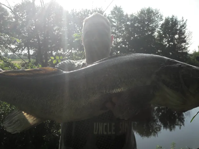 Zander
