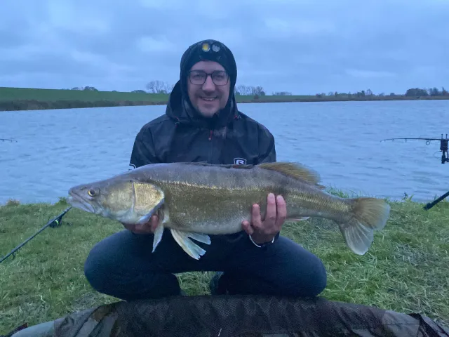Zander