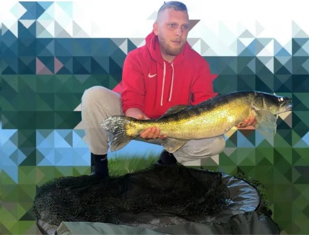 Zander