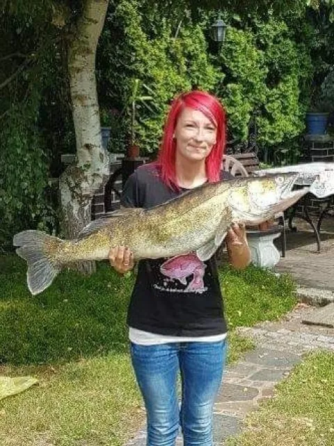 Zander