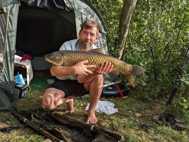 Graskarpfen