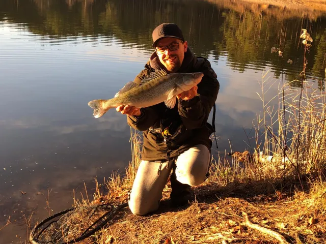 Zander