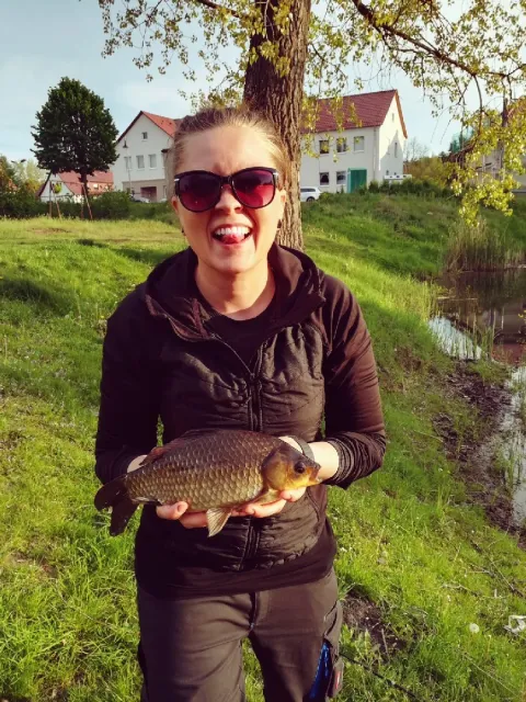 Giebel