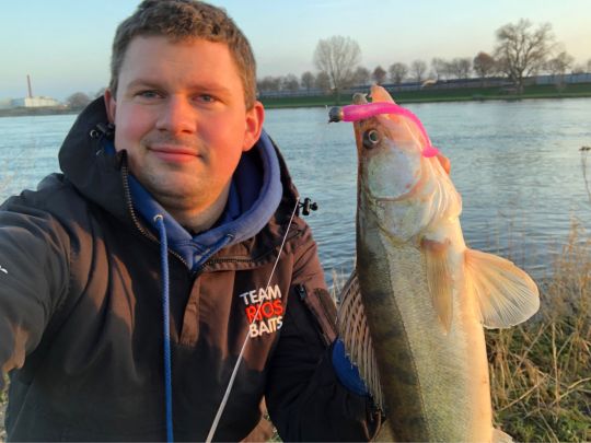 Zander