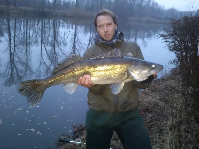 Zander
