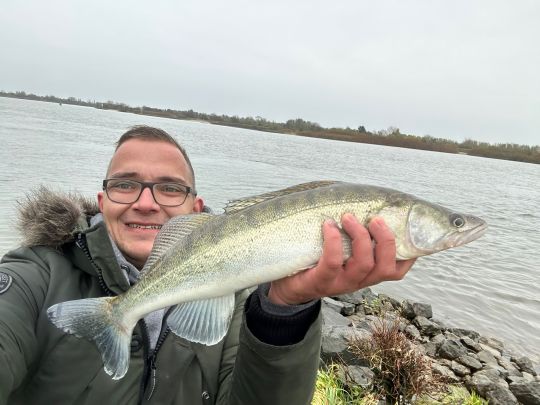 Zander