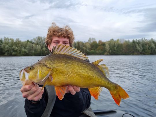 Taimyrsee ALLE ANGELN