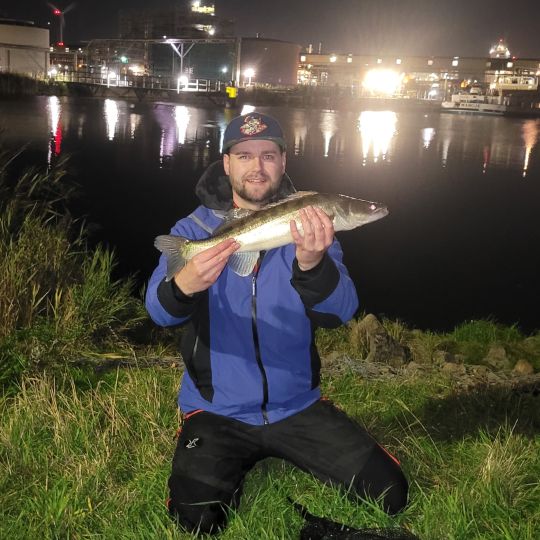 Zander
