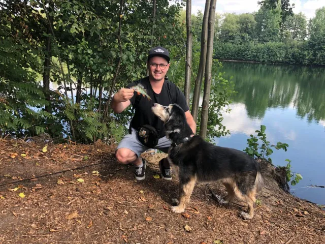 Flussbarsch