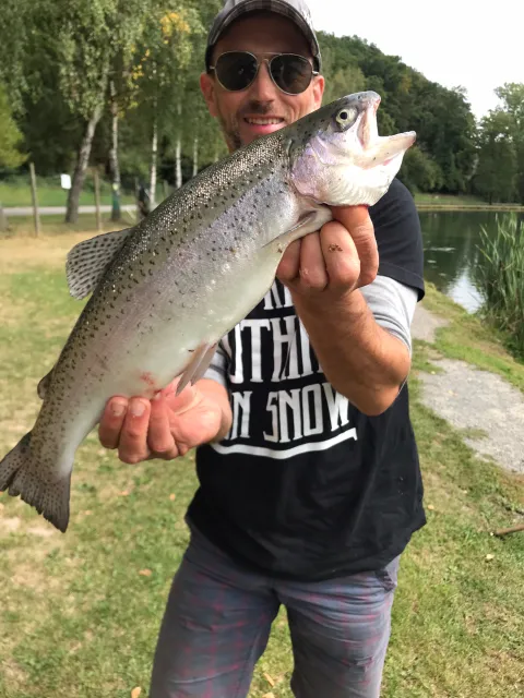 Regenbogenforelle