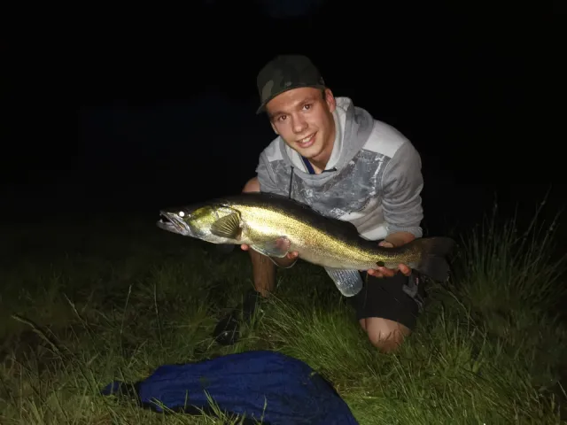 Zander