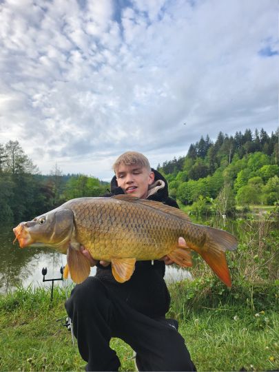 Karpfen