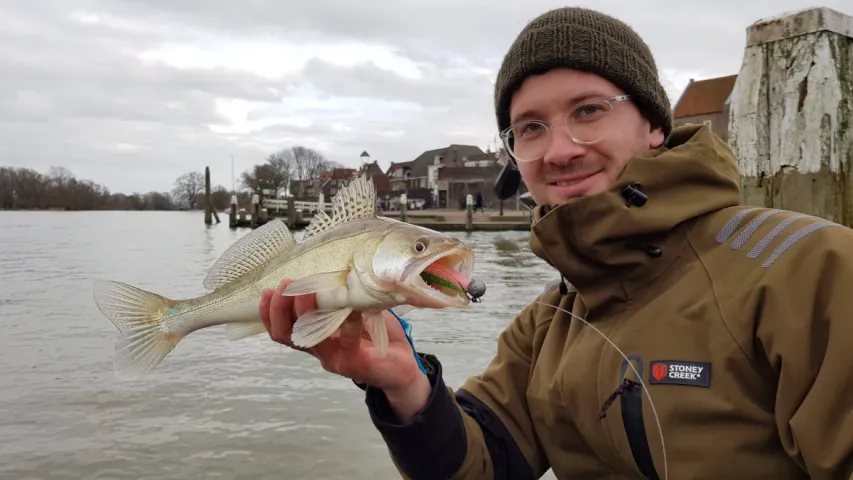 Zander