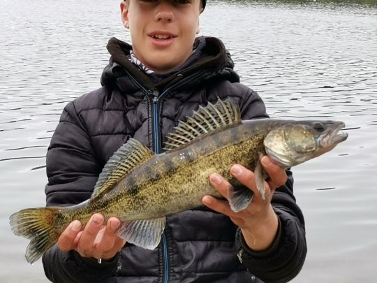 Zander