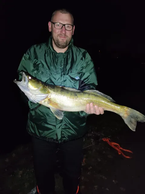 Zander