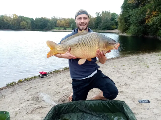 Karpfen