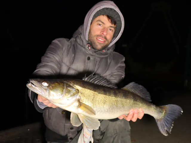 Zander