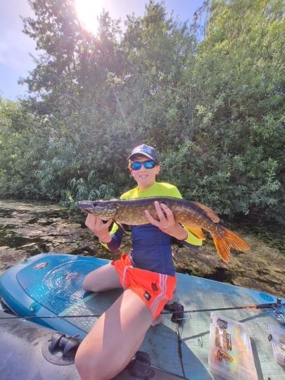 Hecht