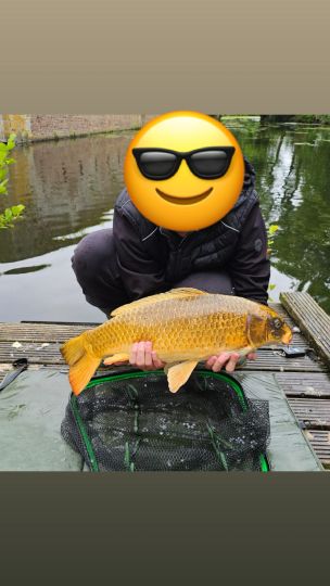 Karpfen