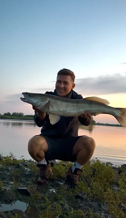 Zander