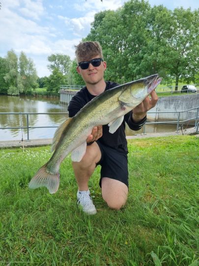 Zander