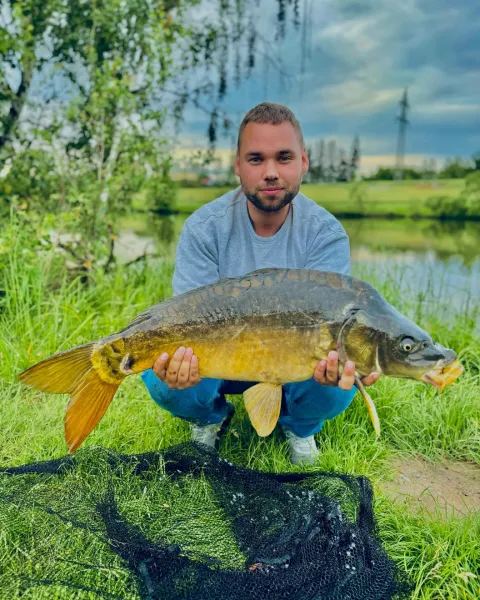 Karpfen