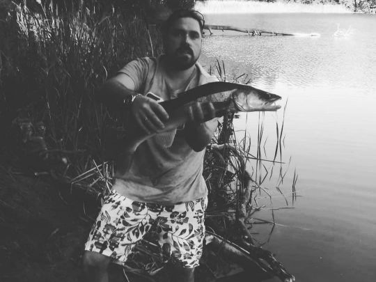 Zander