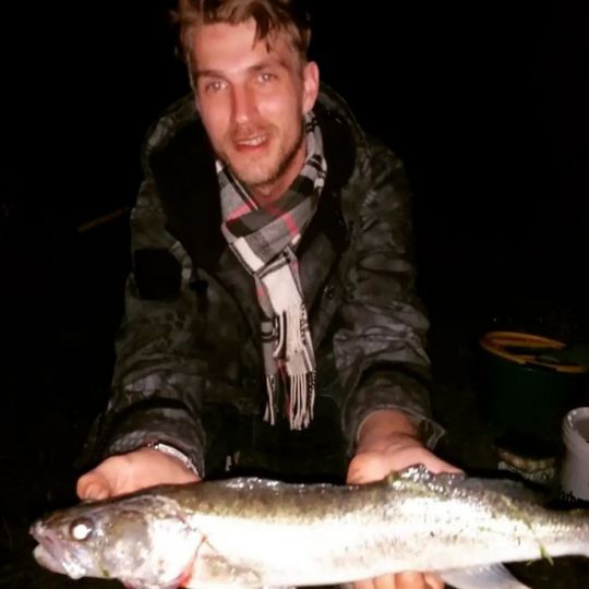 Zander