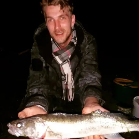 Zander