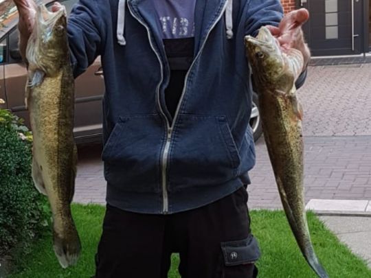 Zander