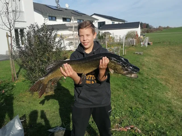 Hecht