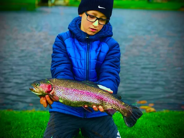 Regenbogenforelle