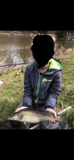 Zander
