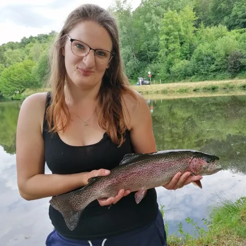 Regenbogenforelle