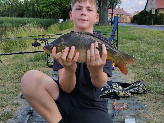 Karpfen