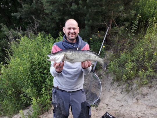 Zander