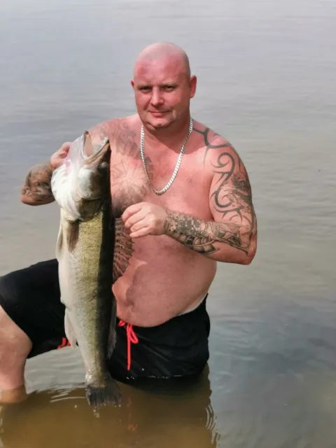 Zander